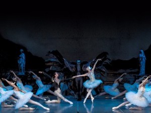 Swan Lake. State Academic Theater of Classical Ballet N. Kasatkina and V. Vasileva